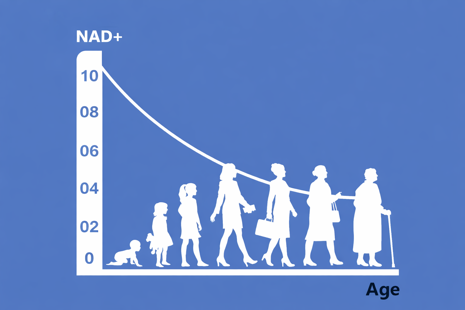 Graph showing decline of NAD+ levels with age