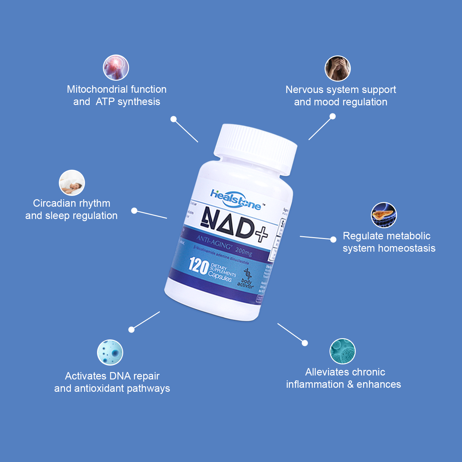 NAD+ molecular pathways and benefits diagram
