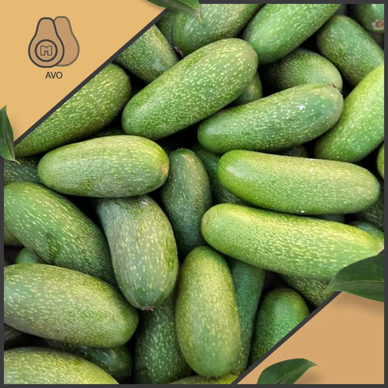 Fresh Premium Avocados